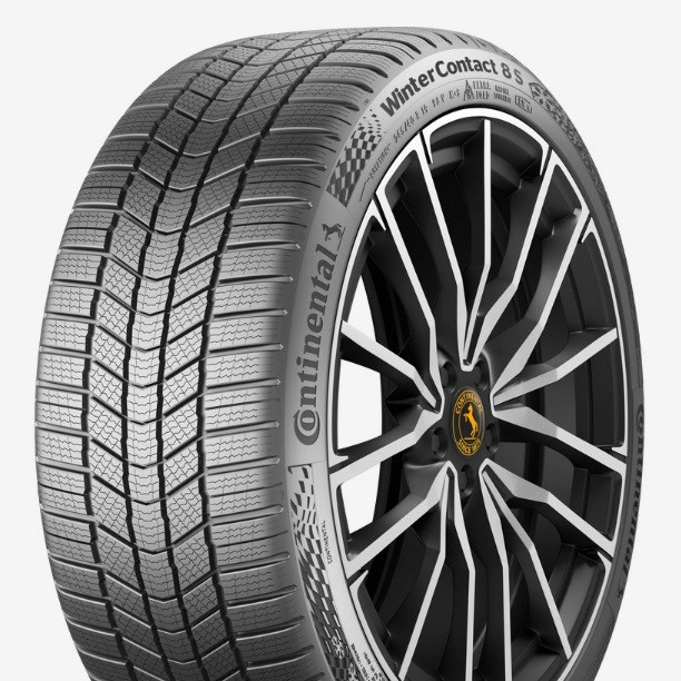 WINTERCONTACT 8S